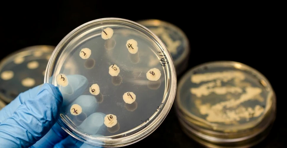 Conflictele din Irak au dus la creșterea rezistenței la antibiotice