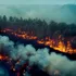 Iată gândacul atras de incendiile de pădure! De ce este acesta important?
