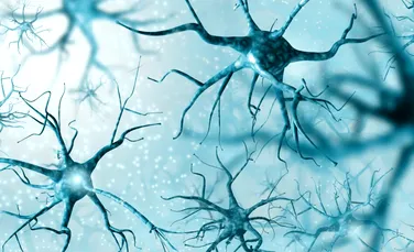 Particule acoperite cu zahăr ar putea proteja neuronii de boala Alzheimer