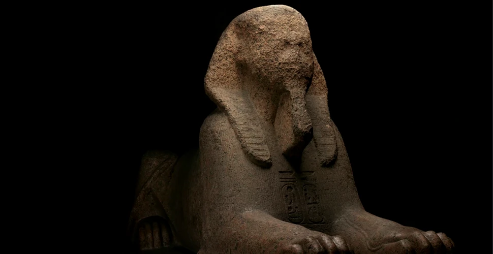 Un sfinx din perioada lui Ramses al II-lea vede din nou lumina soarelui după 100 de ani