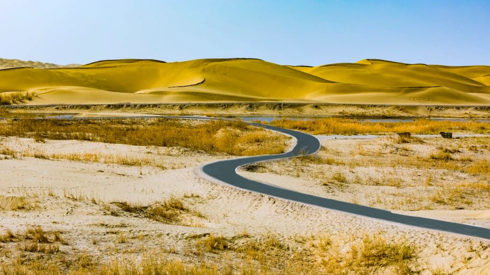 Cum s-a transformat un deșert din nord-vestul Chinei într-un uriaș rezervor natural de carbon?