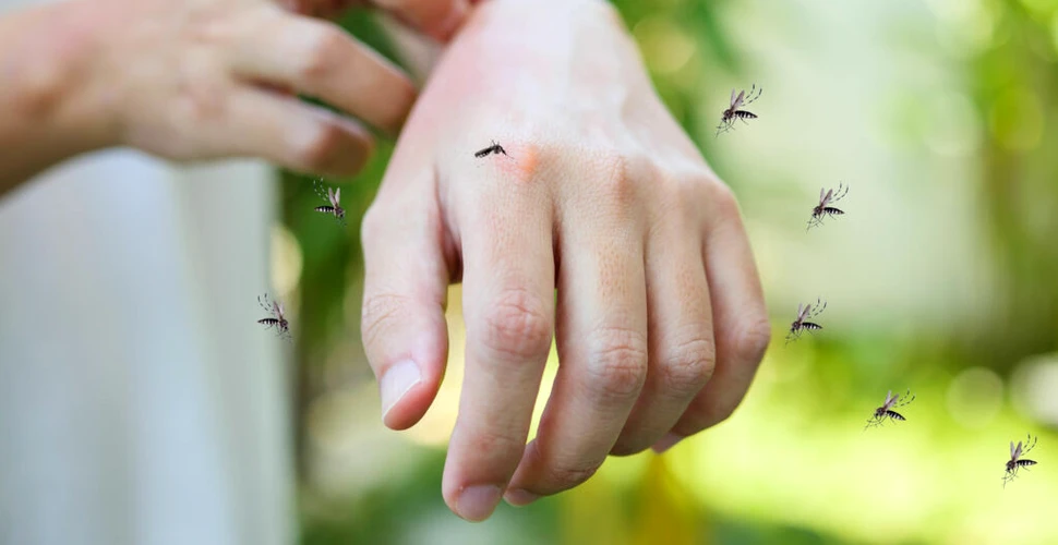 Săpunul poate face oamenii mai atractivi pentru țânțari, potrivit unui studiu