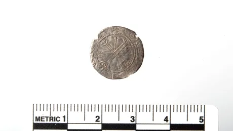 Un nasture găsit pe un câmp s-a dovedit a fi o monedă rară din timpul ultimului rege viking al Norvegiei
