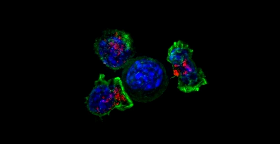 Oamenii de știință au identificat zeci de gene care permit cancerului să evite sistemul imunitar