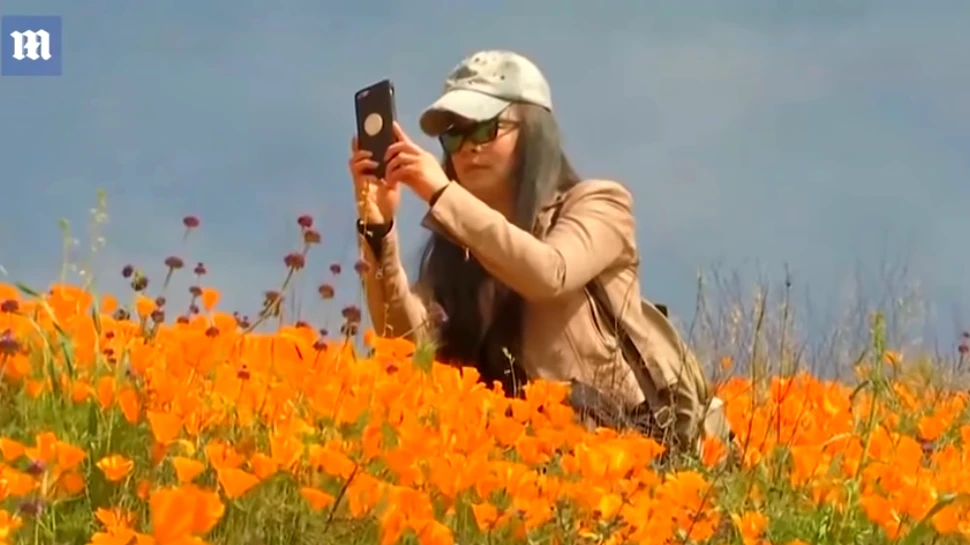 Motivul pentru care autorităţile dintr-un mic oraş din California au blocat accesul vizitatorilor – VIDEO