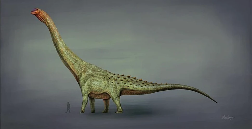 O nouă specie de titanozaur, descoperită în Patagonia, avea un femur mai lung decât un om
