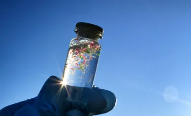 Microplasticele: Tot ce trebuie să știi despre ce sunt și cum reducem expunerea