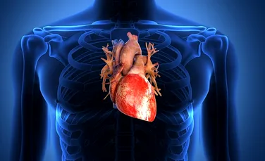Oamenii de ştiinţă au descoperit gena MUTANT care protejează inima – FOTO