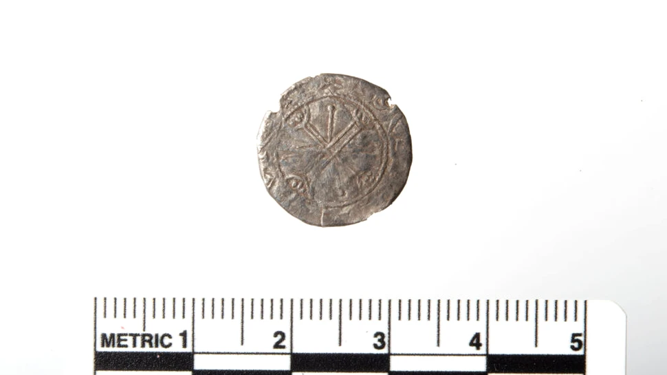 Un nasture găsit pe un câmp s-a dovedit a fi o monedă rară din timpul ultimului rege viking al Norvegiei