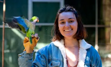 Să învățăm de la peruși: Cum își fac papagalii prieteni noi?