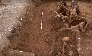 O trăsură cu cai ce ”încerca să iasă din mormânt”, descoperită de arheologi