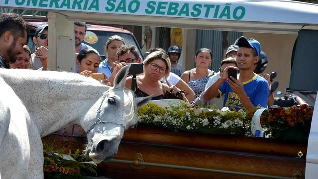 2-horse-goodbye-owner-funeral-brasil-5 