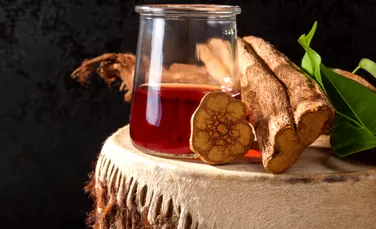 Ingredientul principal din Ayahuasca, testat pe voluntari în cel mai mare experiment psihedelic de până acum