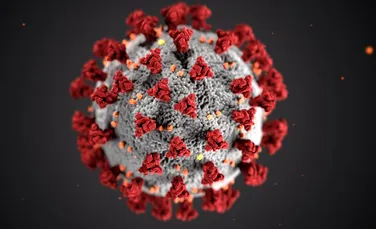 Denumirea tulpinilor de coronavirus, schimbată de OMS