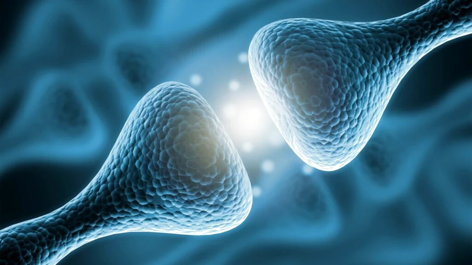 Un studiu a identificat noi biomarkeri ai bolii Alzheimer