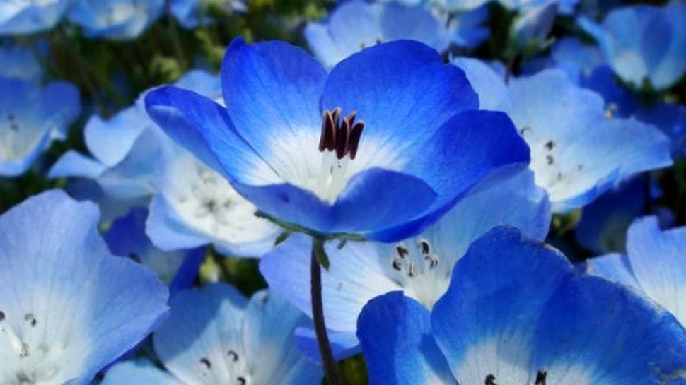 Locul in care cerul a coborat pe pamant (FOTO)