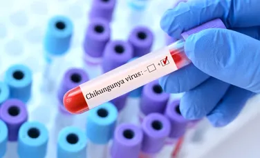 Nivel fără precedent de infecții cu chikungunya în Franța