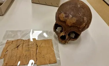 Ce a dezvăluit o investigație științifică despre un craniu dezgropat în 1929, considerat a fi al surorii Cleopatrei
