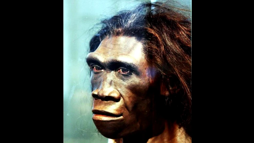 De ce este specia umană atât de inteligentă? Cercetătorii au găsit un răspuns