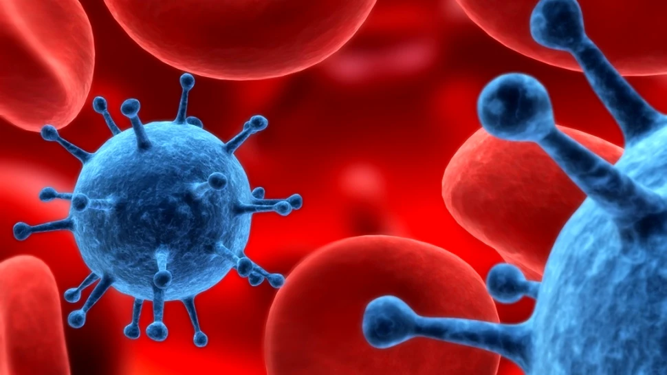 Cum ar putea fi înjumătăţit numărul deceselor provocate de cancer? Oamenii de ştiinţă au găsit răspunsul