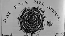Rosicrucianismul, trandafirul etern și căutarea sensului. Credința că membrii săi posedă o înțelepciune secretă care le-a fost transmisă din cele mai vechi timpuri