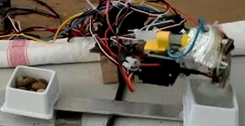 Un robot inteligent îşi construieşte propriile unelte! (VIDEO)