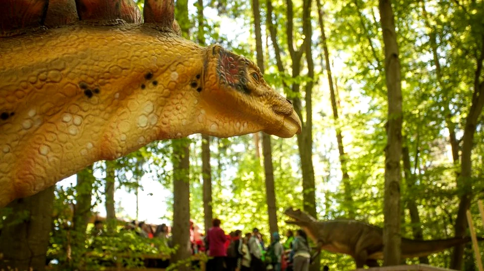Dino Parc Râşnov, una dintre cele mai vizitate atracţii turistice din România, aniversează 2 ani de la deschidere
