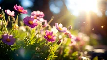 De ce Inteligența Artificială nu înțelege florile așa cum o fac oamenii?