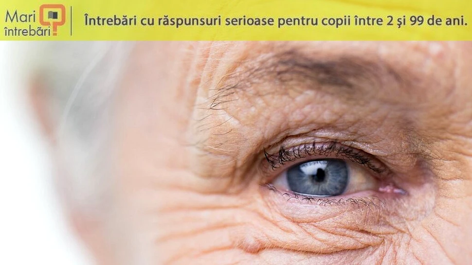 De ce facem riduri?