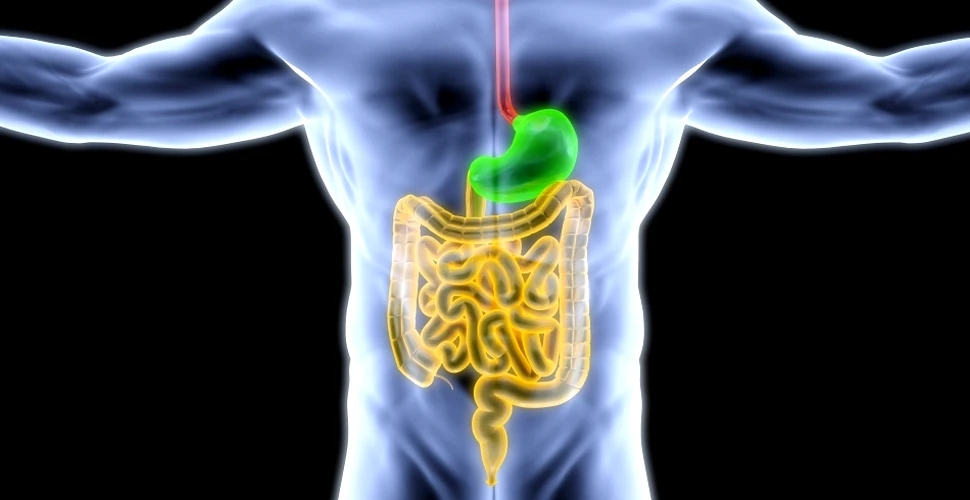 Care sunt cauzele ocluziei intestinale