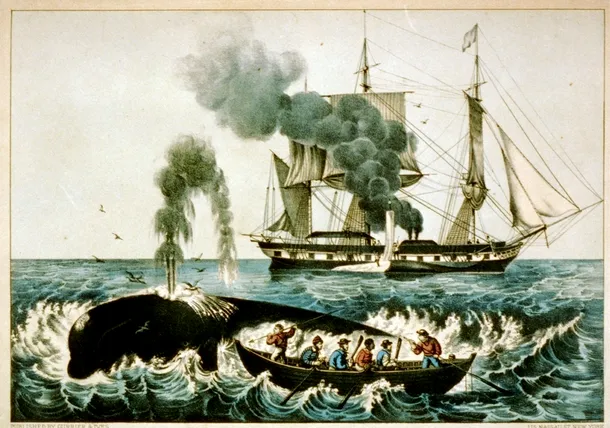  Reproducerea unei vânători de balene din anul 1860