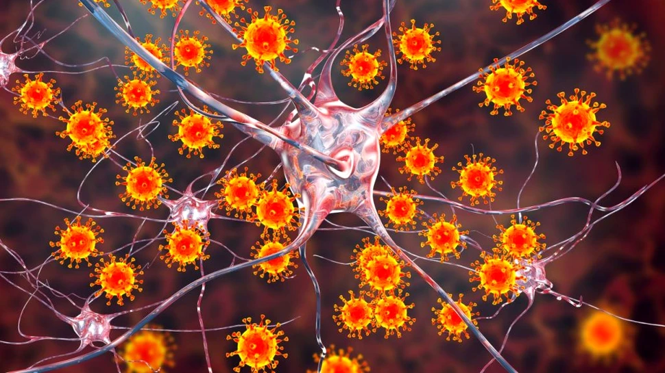 Un nou virus mortal care se poate transmite de la om la om, descoperit în Bolivia