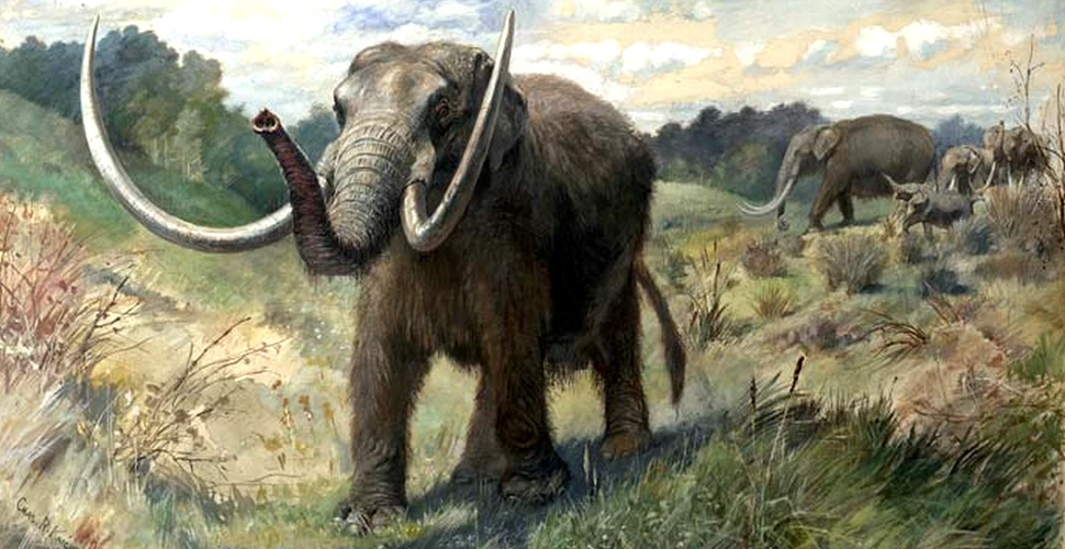 Se plimbau pe lângă casă şi au descoperit rămăşiţele unui mamifer dispărut în urmă cu 10.000 de ani