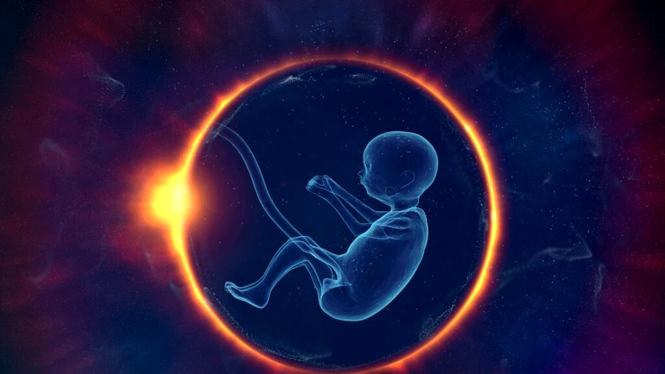 O firmă de biotehnologie dorește crearea unui embrion sintetic ca soluție pentru transplantul de organe