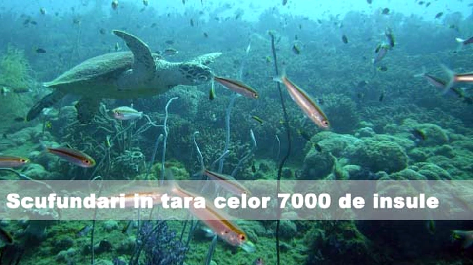 Scufundari in tara celor 7000 de insule