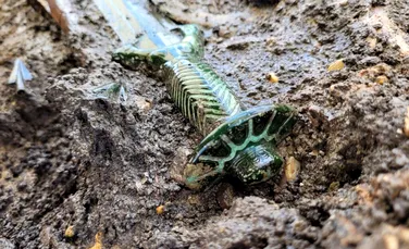 O sabie găsită într-un mormânt din Epoca Bronzului din Germania încă mai strălucește