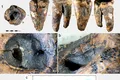 Unde practicau neanderthalienii stomatologia acum 60.000 de ani?