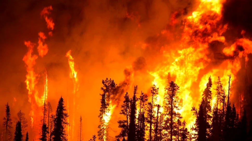 Schimbările climatice provocate de oameni au atins ”standarul de aur”