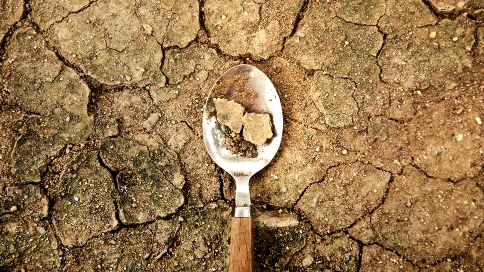 Schimbările climatice vor aduce foamete pe Pământ în următoarele decenii