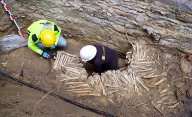 Zid de oase umane descoperit sub catedrala Sfântul Bavo din Belgia