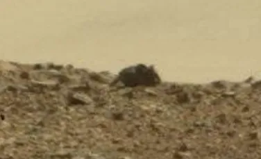 Un şoarece a fost găsit pe Marte. Dovada din imaginile făcute publice de NASA FOTO+VIDEO