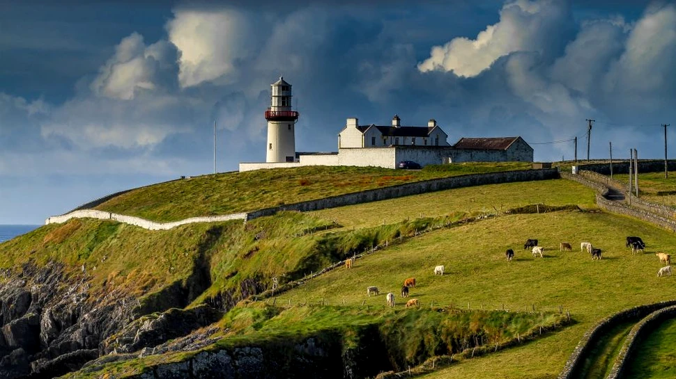 20 curiozităţi despre Irlanda, singura ţară din Europa unde nu există şerpi