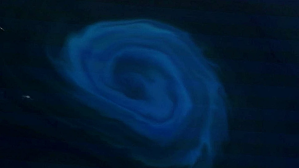 De ce vor oamenii de ştiinţă să arunce cantităţi mari de fier în oceanele planetei?