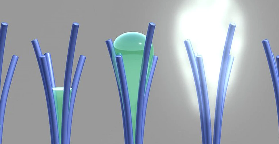 Cercetătorii au creat, accidental, tije microscopice care pot recolta apă din aer