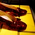 Cei mai scumpi pantofi din lume au costat 32,5 milioane de dolari. Povestea lor pare desprinsă dintr-un film