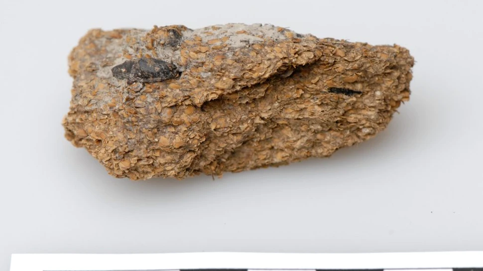 Brânza cu mucegai și berea, preferatele europenilor din Epoca Fierului