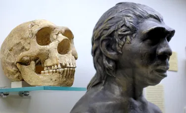 O suliță veche de 80.000 de ani contrazice tot ce știam despre neanderthalieni