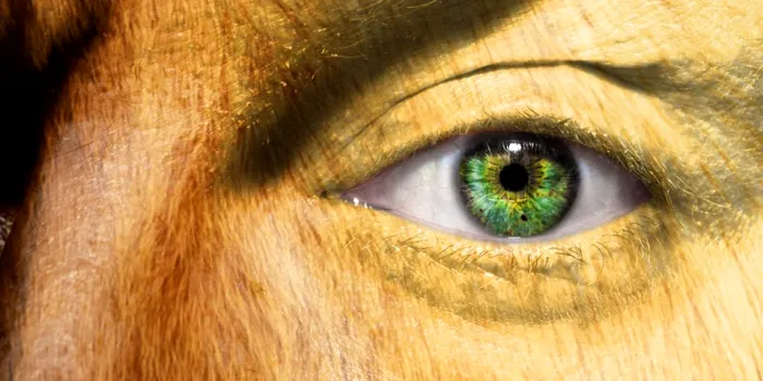 Cercetătorul rus care a încercat să creeze un hibrid om-maimuță în cel mai rău mod posibil