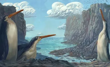 Un pinguin gigant fosilizat, o nouă specie descoperită de copiii din Noua Zeelandă