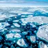 Viața a existat în Oceanul Arctic chiar și în erele glaciare, a descoperit o echipă internațională de cercetători
